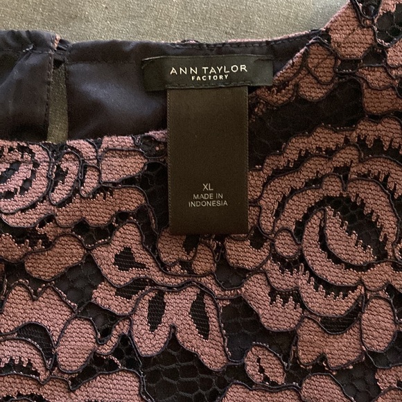 Ann Taylor size XL lace rose plum color short sleeves blouse with black lining. - Picture 7 of 8